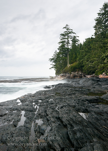 Image of Botanical Beach