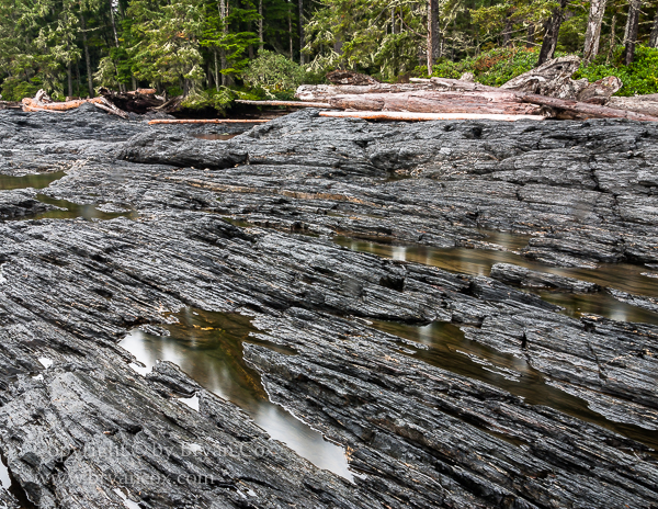 Image of Botanical Beach