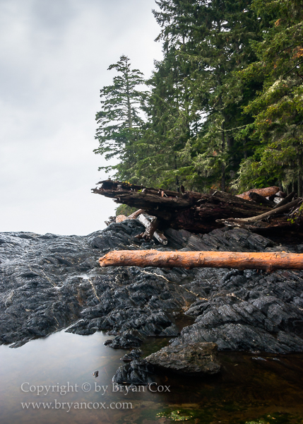 Image of Botanical Beach