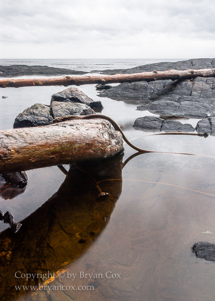 Image of Botanical Beach