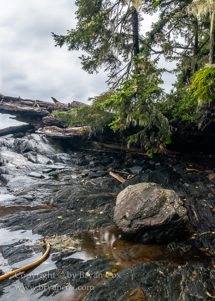 Image of Botanical Beach