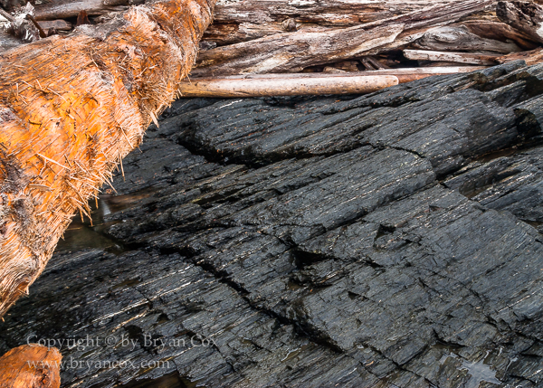 Image of Botanical Beach