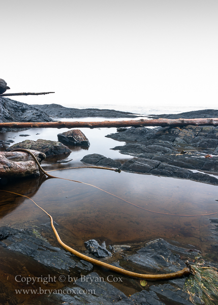 Image of Botanical Beach