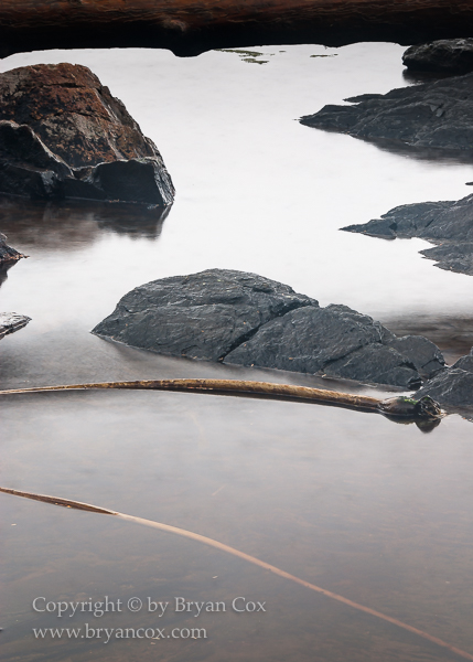 Image of Botanical Beach