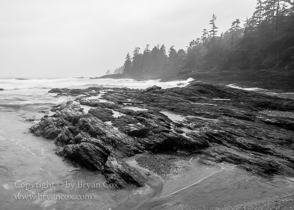 Image of Botanical Beach