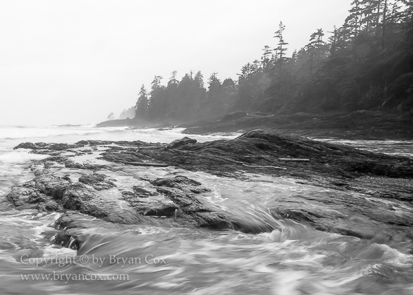 Image of Botanical Beach