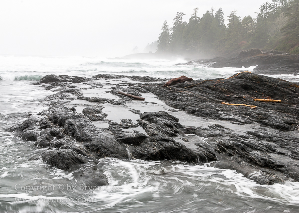 Image of Botanical Beach