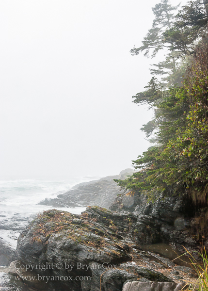 Image of Botanical Beach