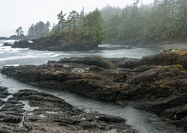 Image of Botanical Beach