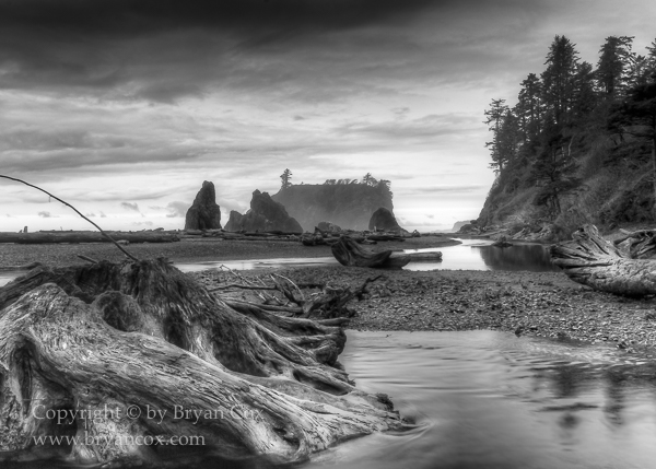 Image of Olympic National Park