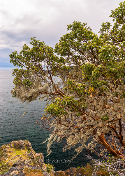 Image of Vancouver Island, British Columbia